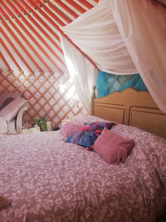 Yurta De Arico Hotell Arico Viejo Exteriör bild