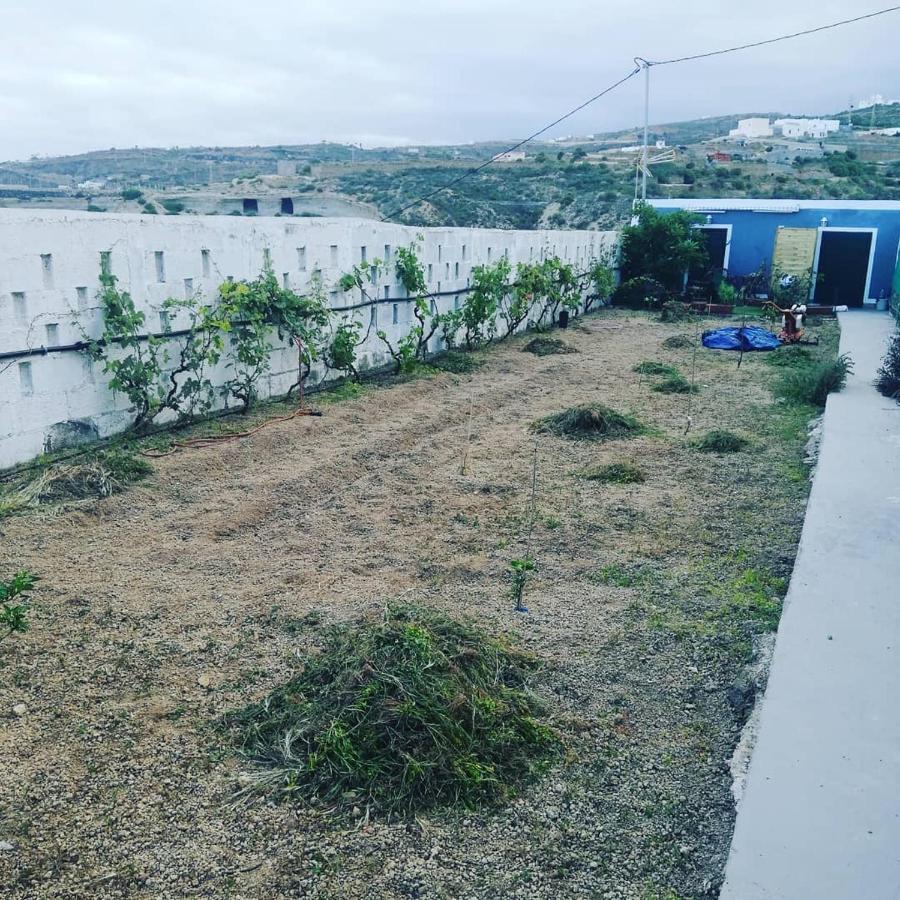 Yurta De Arico Hotell Arico Viejo Exteriör bild